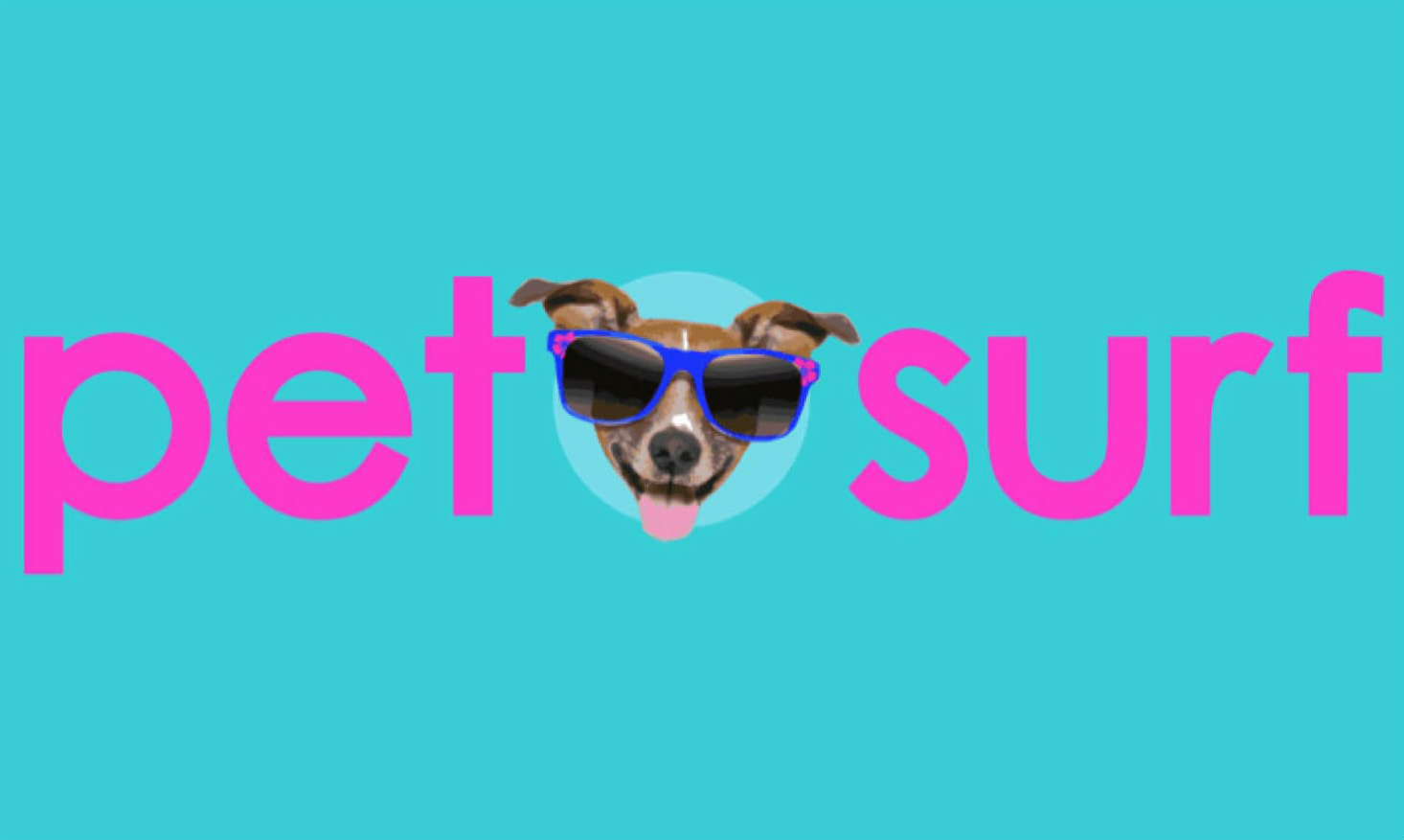Elevate Blue- Pet Surf Startup- Pet Boarding
